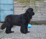 Превью фото № 140001