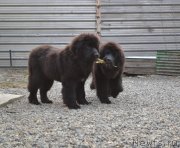 Превью фото № 140007