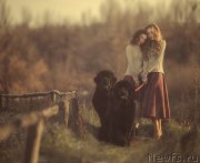 Превью фото № 140122