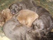 Превью фото № 140129