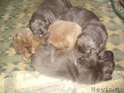 Превью фото № 140131