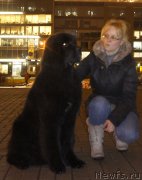 Превью фото № 140134