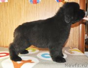 Превью фото № 140151