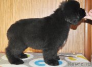 Превью фото № 140152