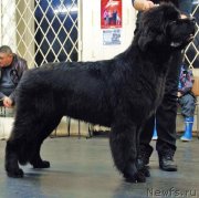 Превью фото № 140299