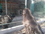 Превью фото № 140379