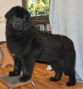 Превью фото № 140433