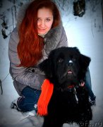 Превью фото № 140447