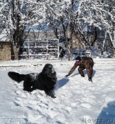 Превью фото № 140452