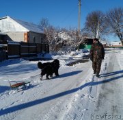 Превью фото № 140457