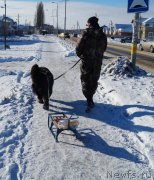 Превью фото № 140458