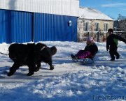 Превью фото № 140461