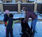 Превью фото № 140462