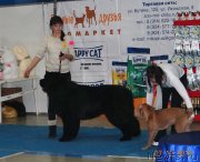 Превью фото № 140467