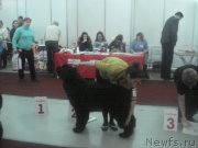 Превью фото № 140504