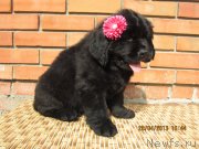 Превью фото № 140533