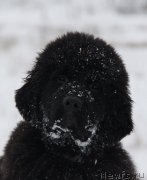 Превью фото № 140570