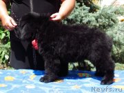 Превью фото № 140588