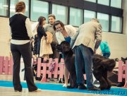 Превью фото № 140601