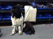 Превью фото № 140604