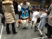 Превью фото № 140609