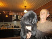 Превью фото № 140610