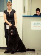 Превью фото № 140618