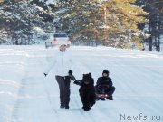 Превью фото № 140733