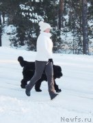 Превью фото № 140734