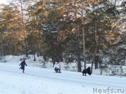 Превью фото № 140735