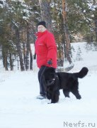 Превью фото № 140739