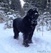 Превью фото № 140751