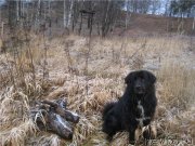 Превью фото № 140767