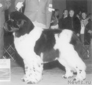 Превью фото № 140796