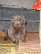 Превью фото № 140802