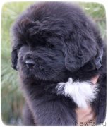 Превью фото № 140820