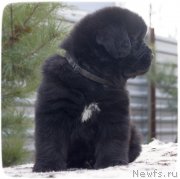 Превью фото № 140823