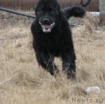 Превью фото № 14087