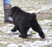 Превью фото № 140886