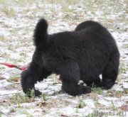 Превью фото № 140887