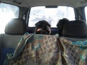 Превью фото № 140957