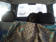 Превью фото № 140958