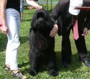 Превью фото № 140961