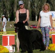 Превью фото № 140962