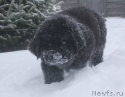 Превью фото № 140974