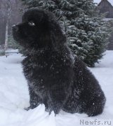 Превью фото № 140978