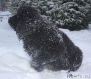 Превью фото № 140982