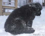 Превью фото № 140983