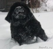 Превью фото № 140986