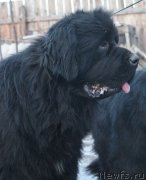 Превью фото № 140990